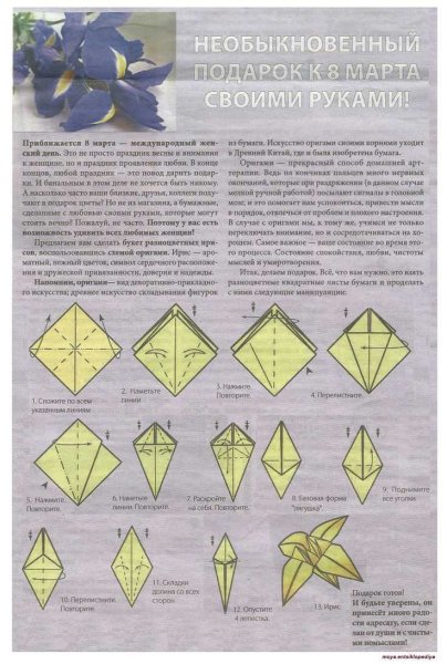 Оригами ирис цветок (41 фото)