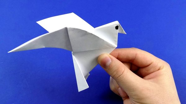 Оригами птица голубь (40 фото)