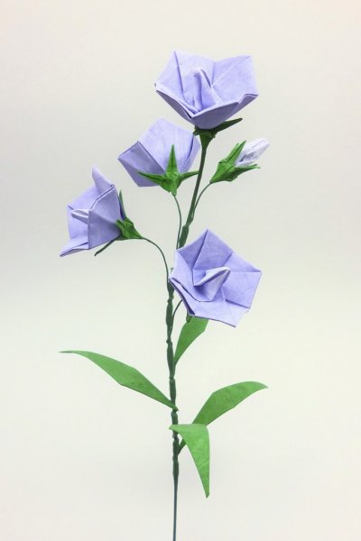 Оригами цветок колокольчик (41 фото)