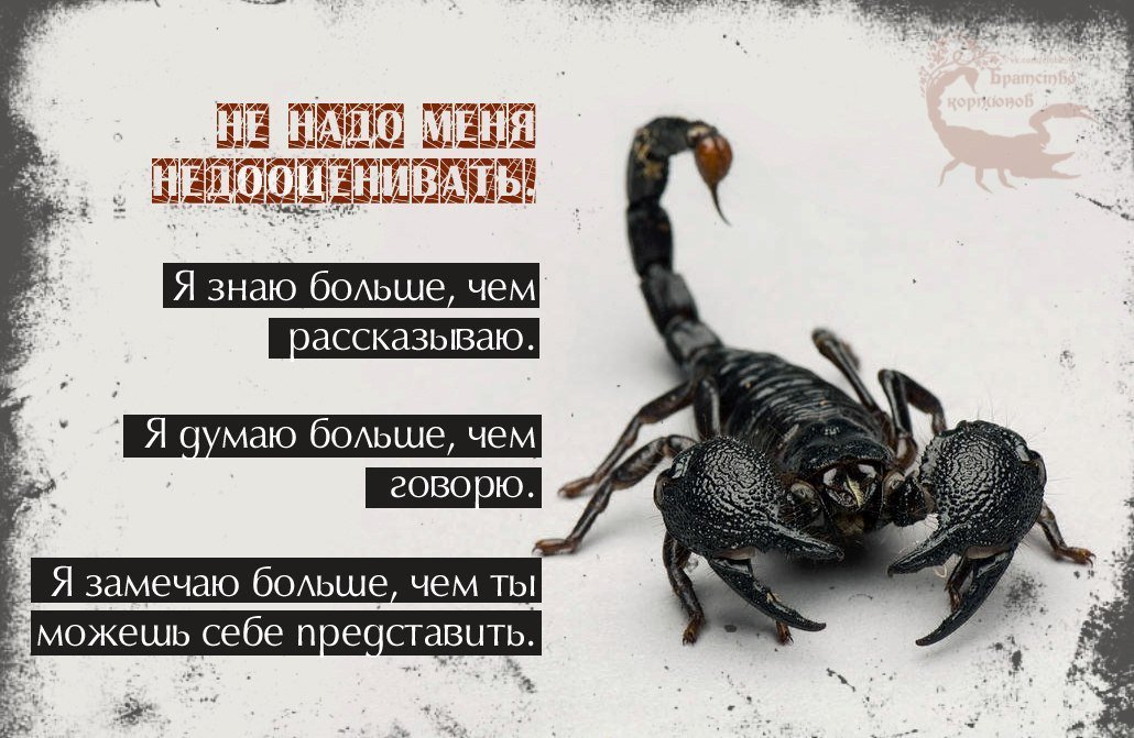 Скорпион Гороскоп Благоприятные