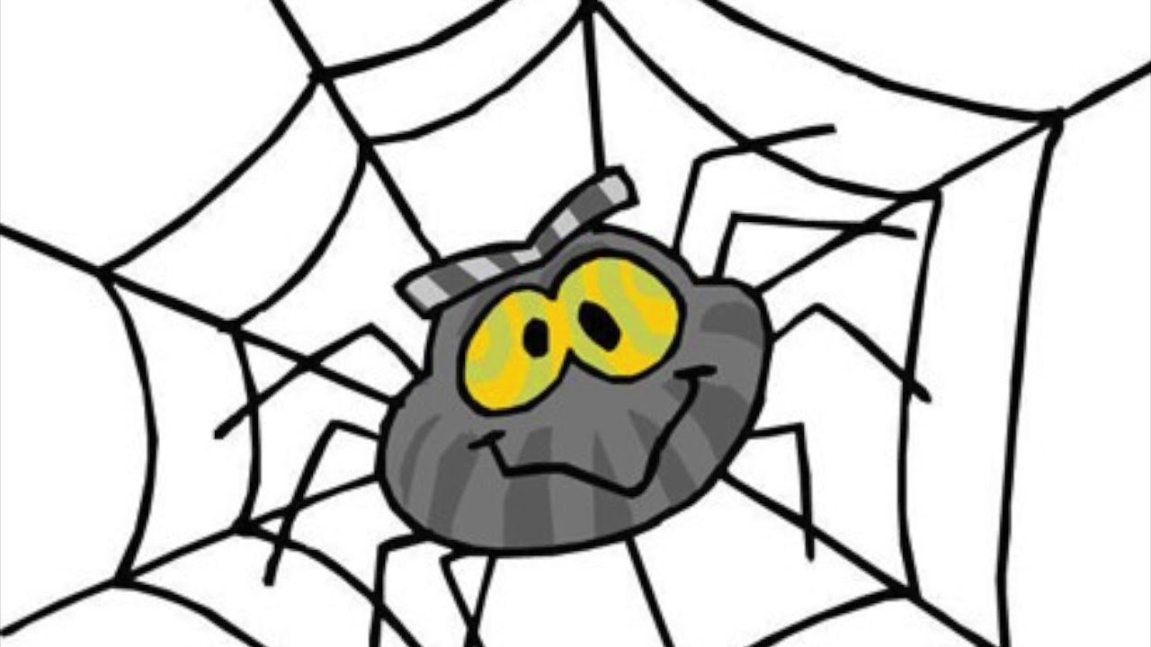 Смешной паук на паутине