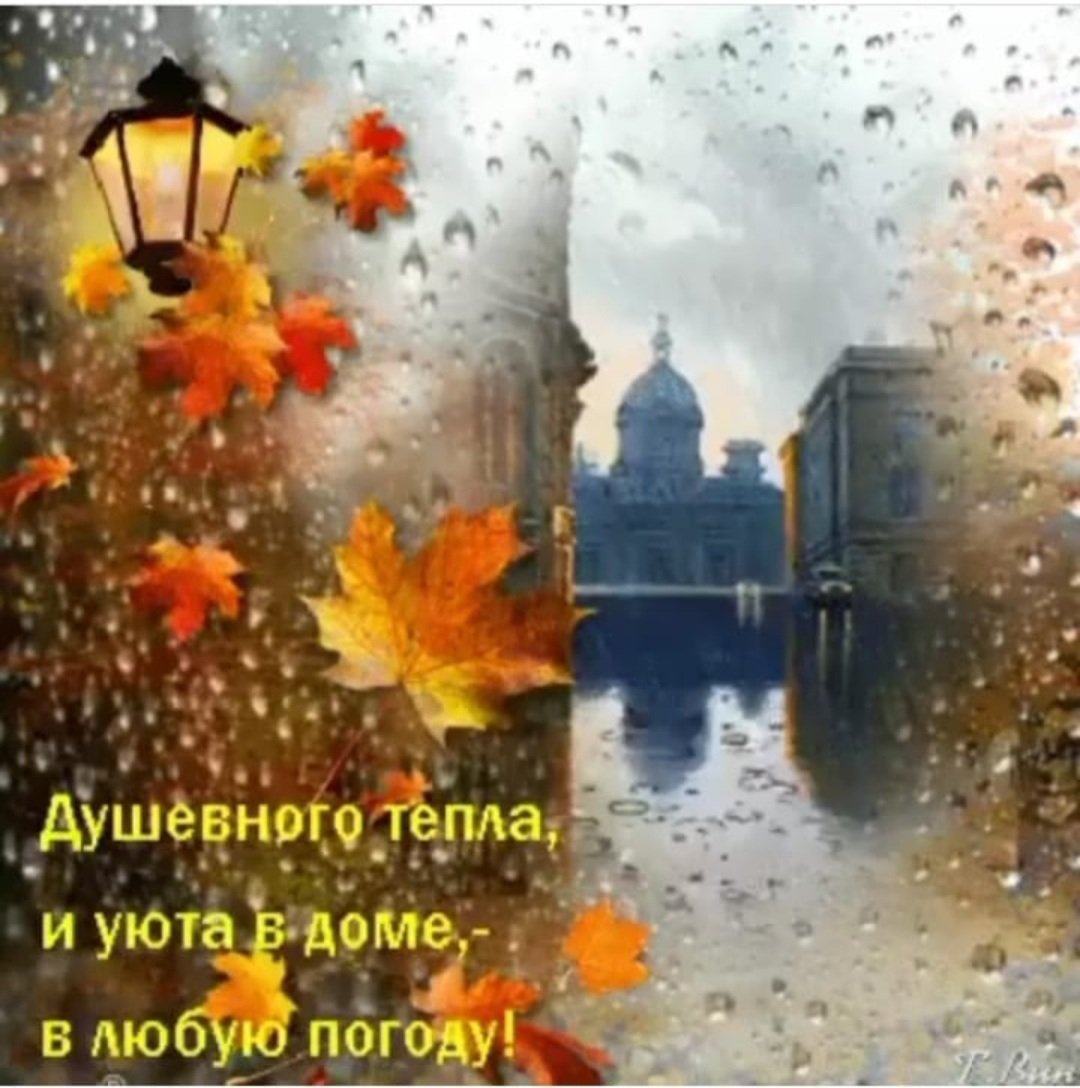 Осень Дождь Доброе Утро Картинки С Пожеланиями