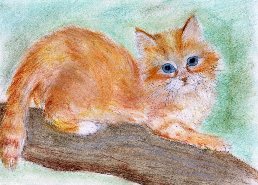 Животное рисунок 7 класс. Кошка пастелью. Рисунок котенка пастелью. Детские рисунки пастелью. Рисунки животных пастелью.
