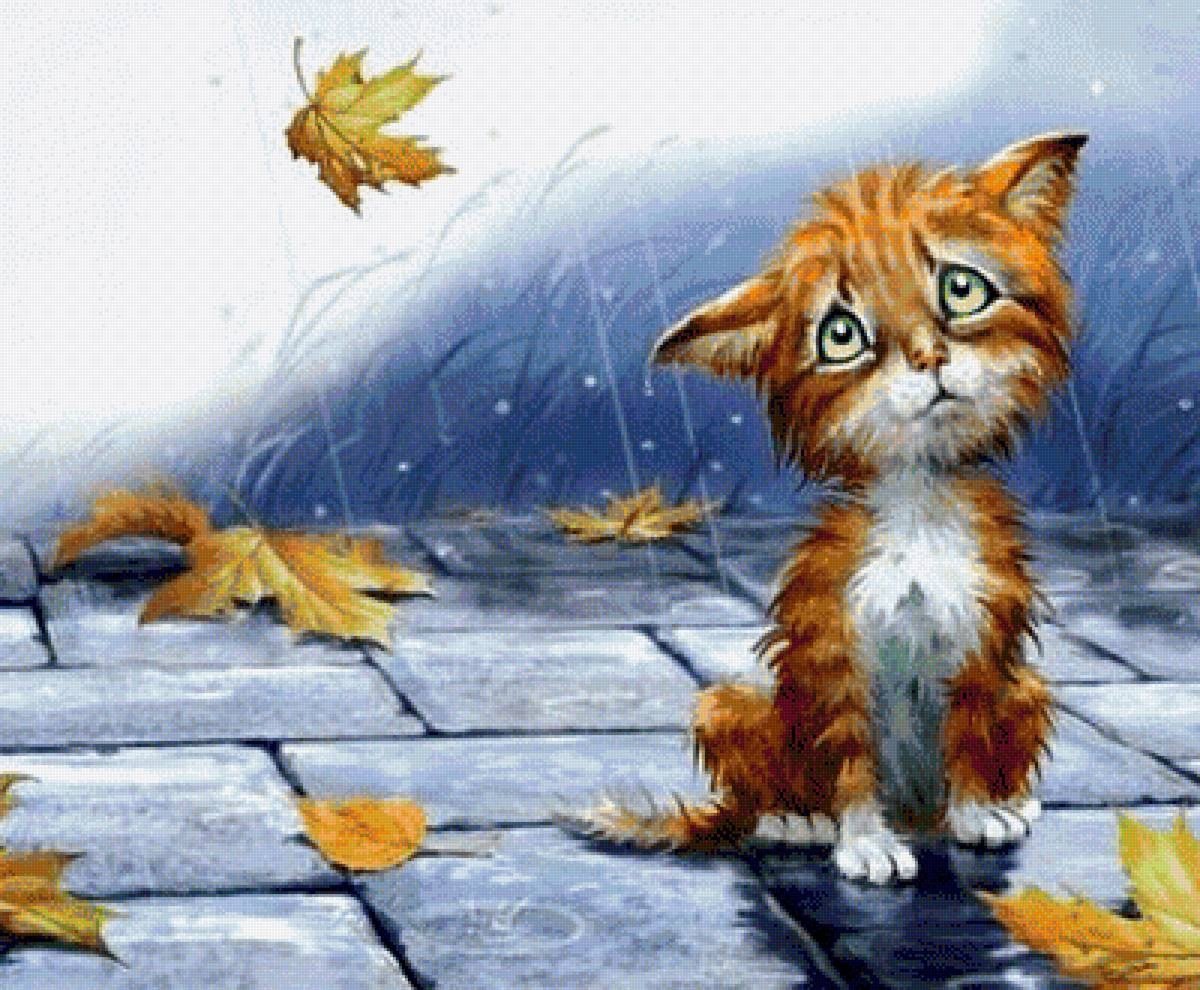Беспородная ты сидишь голодная. Кот осень дождь. Котенок под дождем. Рыжий котенок под дождем. Промокший Бездомный кот.