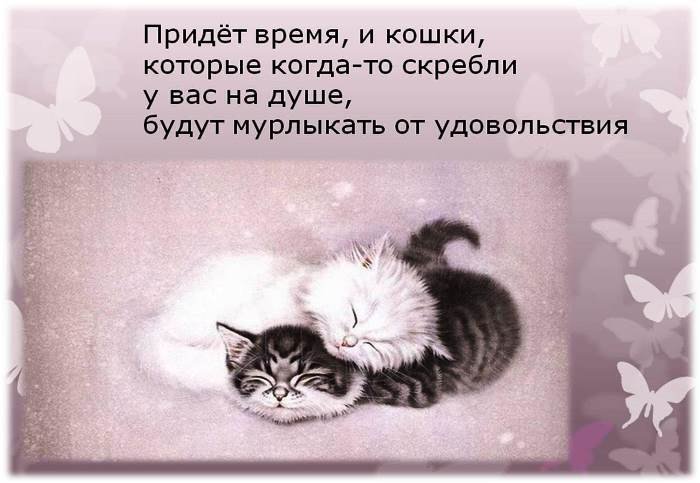 Фразеологизмы кошки скребут на душе. Кошка в душе. Кошки скребут. Кошки скребут на душе. Когда на душе кошки скребут.