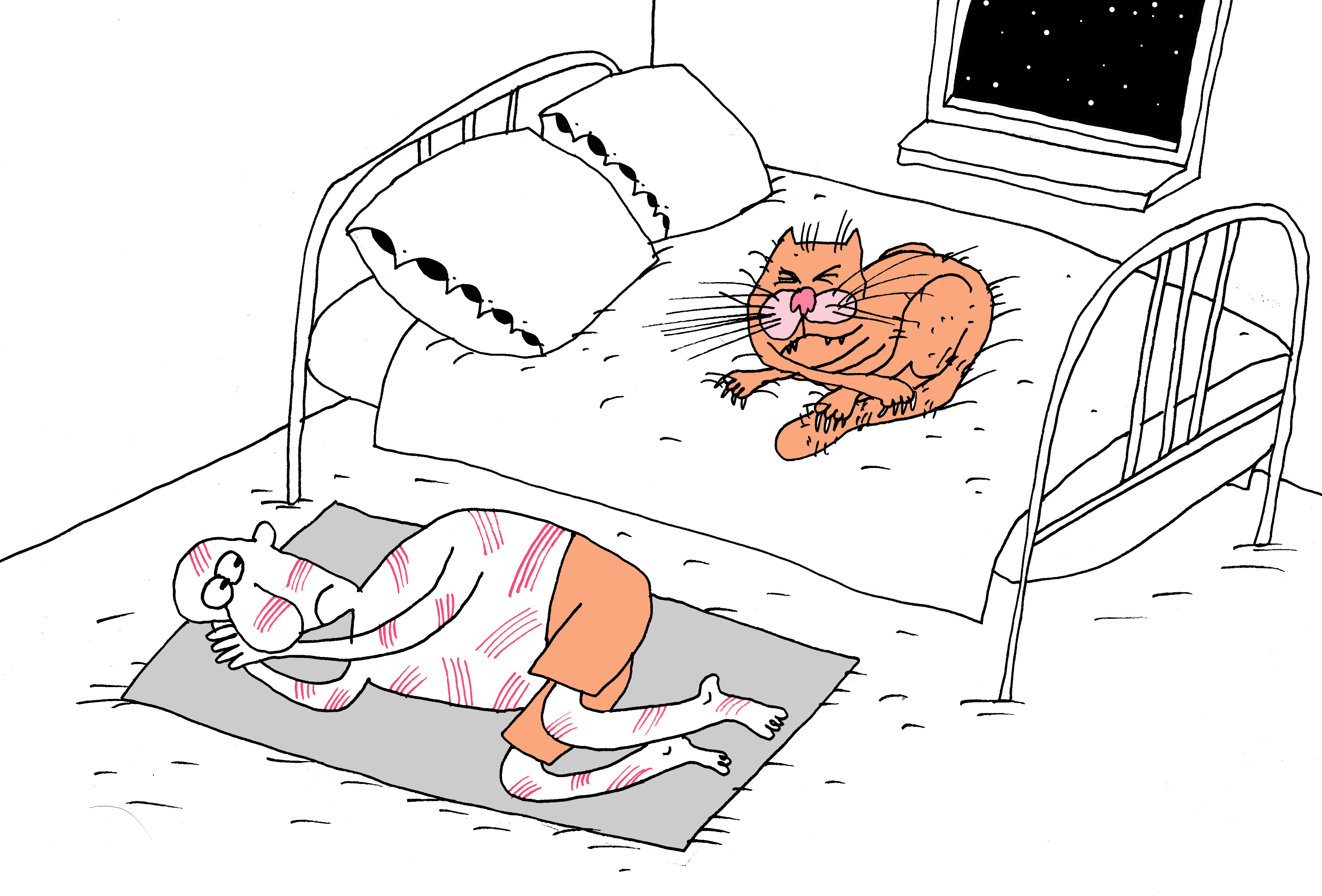 Сплю полдня. Сонный карикатура. Кровать карикатура. Кошка карикатура.