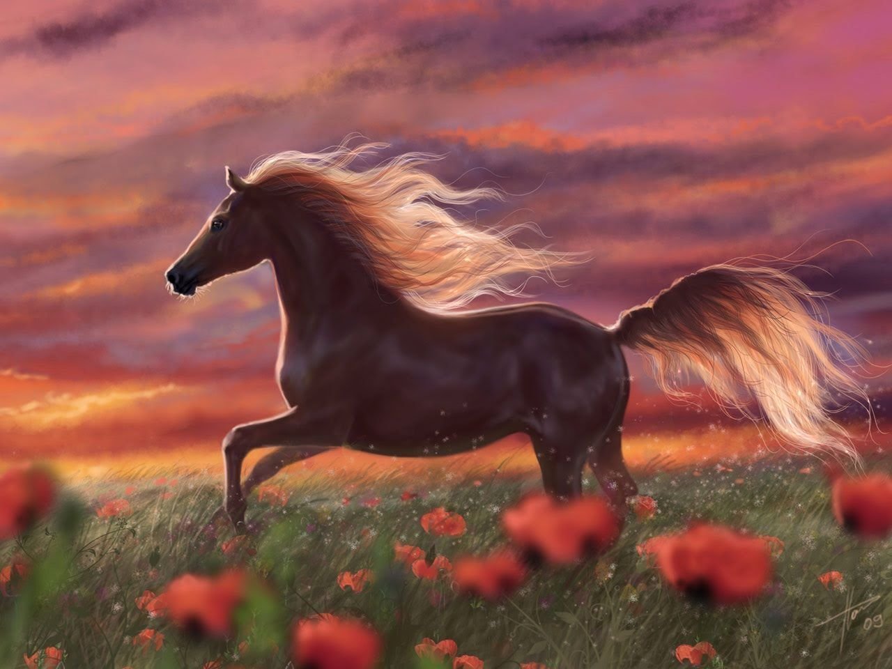 Красивые лошади. Лошадь бежит. Красивые картины. Лошадь в поле. Эта лошадь красива и своенравна