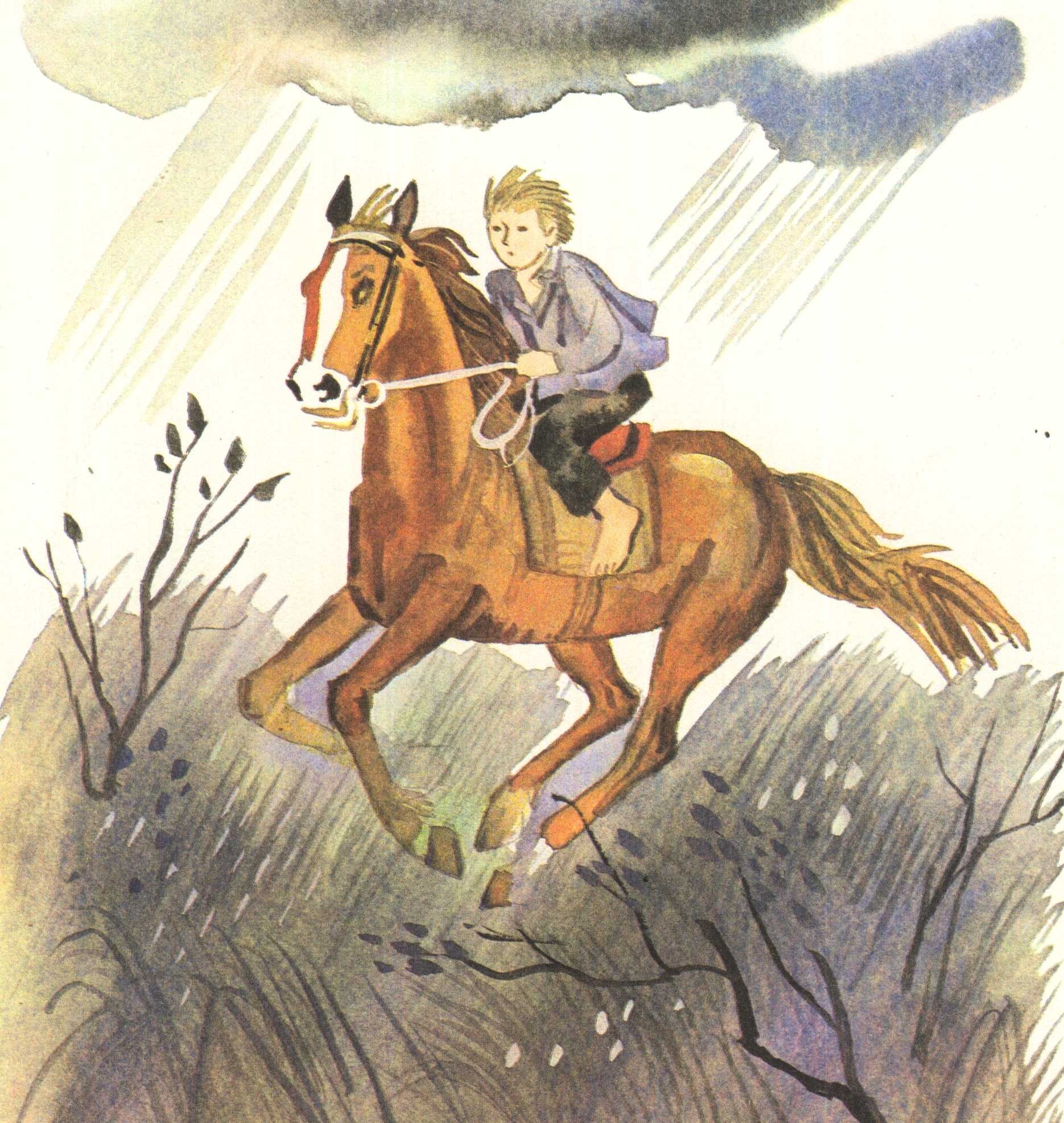 Наездник читать. Мальчик на лошадке. Смелый наездник. Всадник для детей. Всадник иллюстрация.