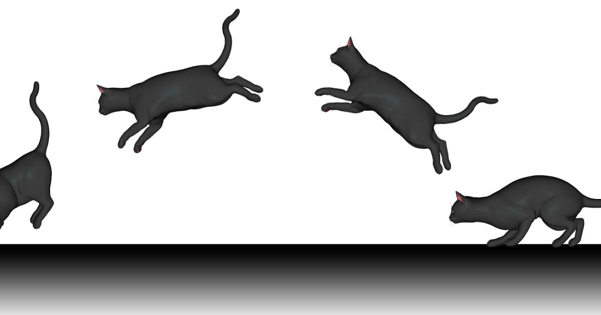 Кошачья квадробика. Кот в прыжке иллюстрация. Кот прыгает. Прыжок кота Раскадровка. Кошка спрыгивает.