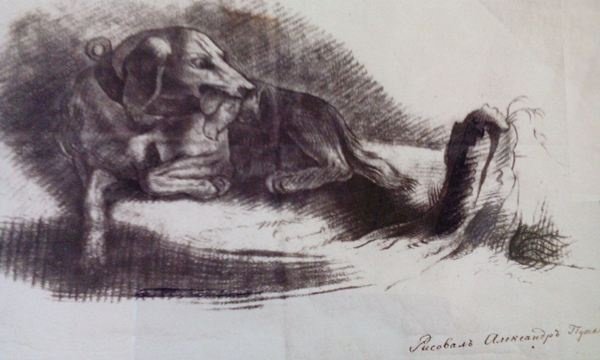 Рисунки пушкина собака (41 фото)