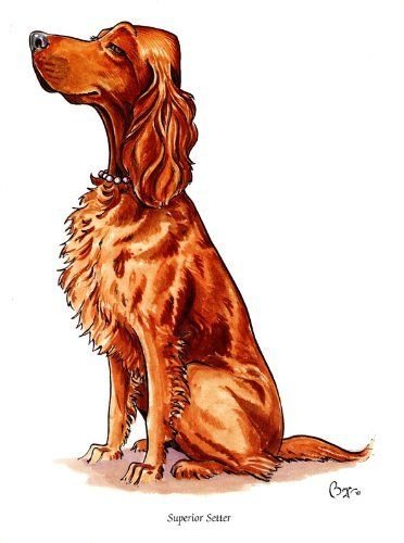 Рисунки собака сеттер (40 фото)