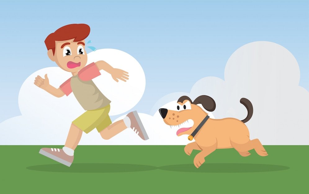 Chase away. Мальчик убегает от собаки. Собака бежит за человеком. Бежит от собаки. Мальчик бежит за собакой.