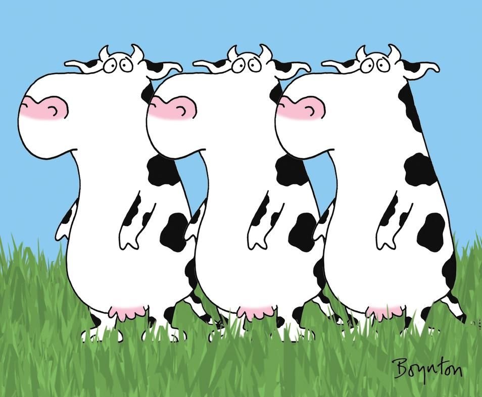 Песни тридцать три коровы. 33 Коровы. Три коровы. Смешные коровы. Три коровы смешные.
