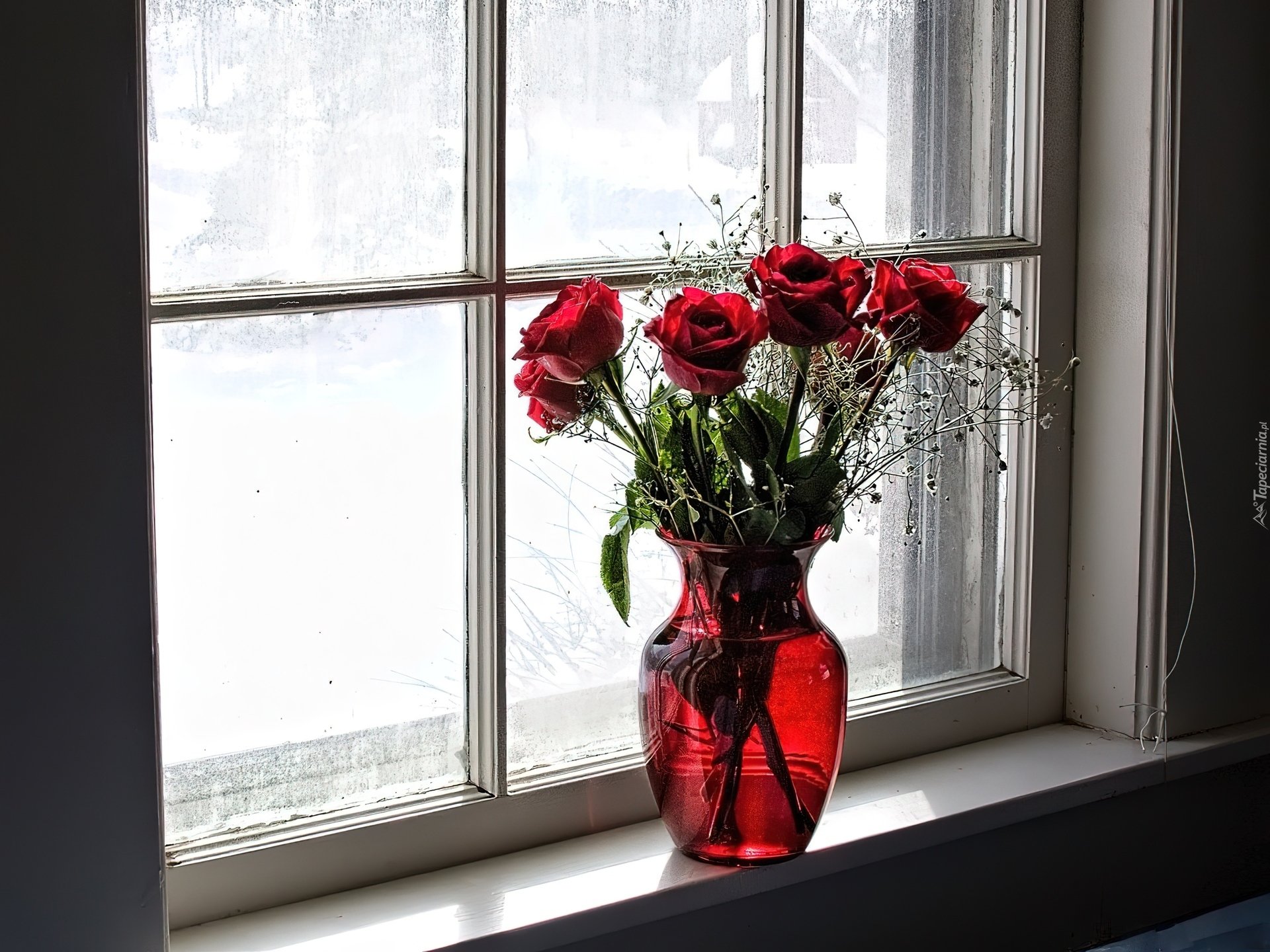 Тюльпаны на балконе зимой. Цветы на окне. Цветы в вазе на окне. Подоконник с цветами. Букет цветов на подоконнике.