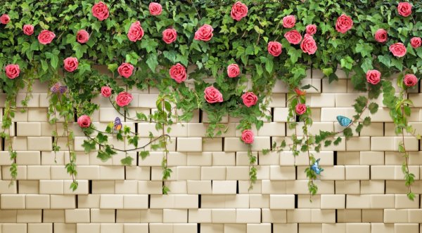 Букет роз на фоне кирпичной стены (42 фото)