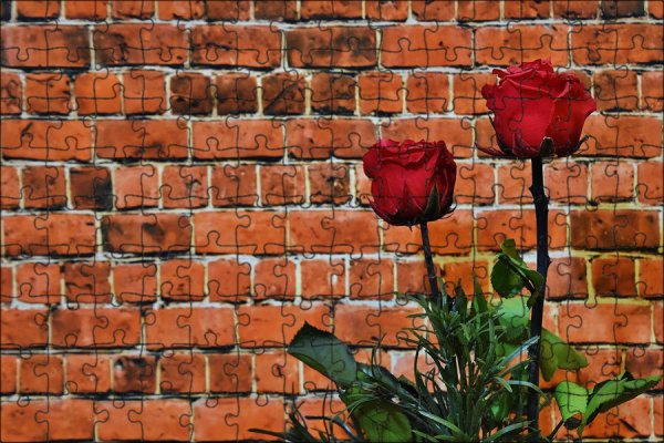Букет цветов на фоне кирпичной стены (38 фото)