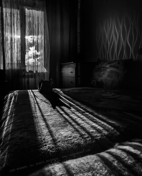 Фон комната эстетика черный (45 фото)