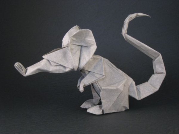 Оригами крыса (43 фото)