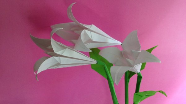 Оригами лилия (45 фото)