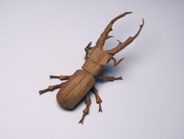 Оригами майский жук (36 фото)