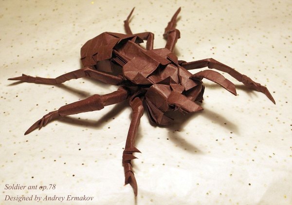 Оригами муравей (38 фото)