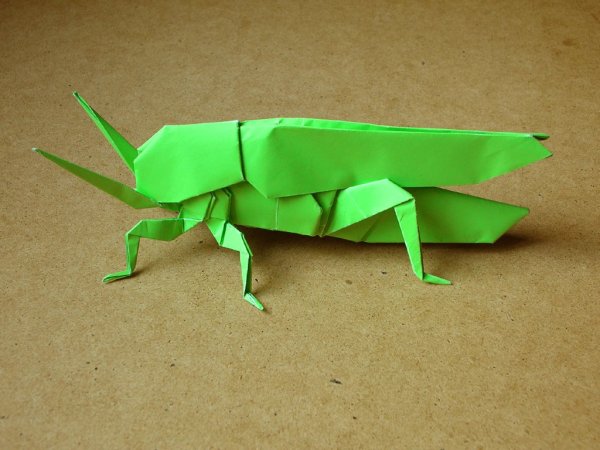 Оригами насекомые (41 фото)