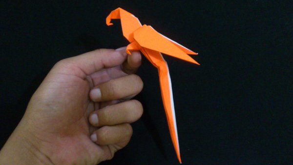 Оригами попугай ара (43 фото)