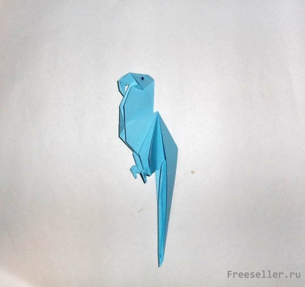 Оригами попугай маленький (42 фото)