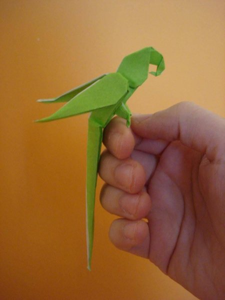 Оригами попугай на палец (44 фото)