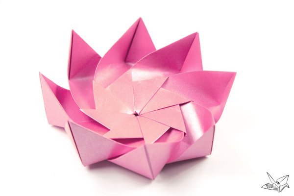 Оригами цветы лотус (45 фото)