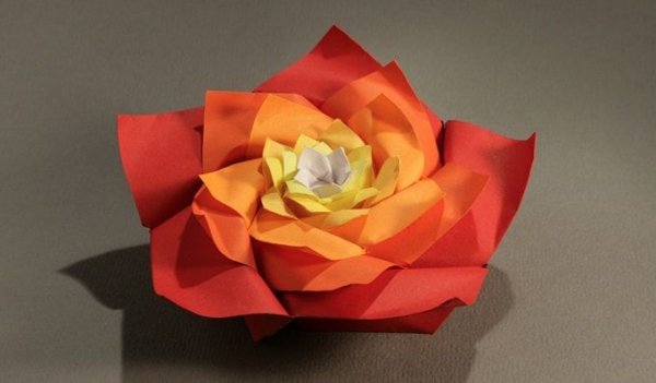Оригами яркий цветок (41 фото)