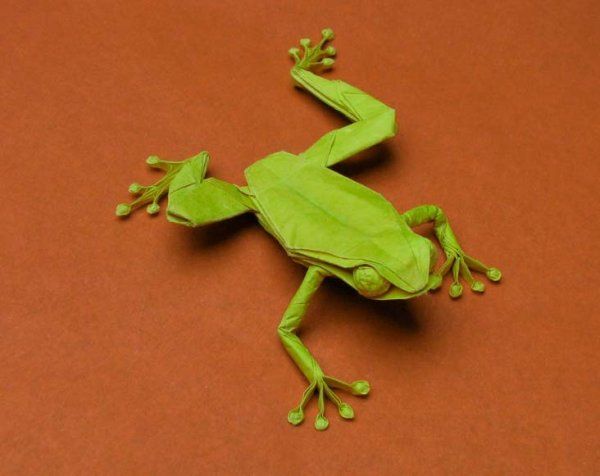 Оригами жабка (40 фото)