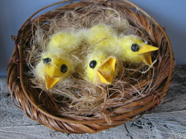 Поделки гнездо из природного материала с птичками: идеи по изготовлению своими руками (43 фото)