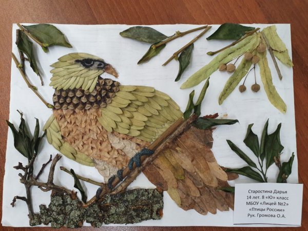 Поделки птицы из природного материала осень: идеи по изготовлению своими руками (44 фото)