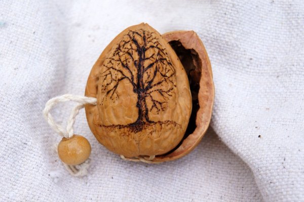 Поделки виноград из грецких орехов: идеи по изготовлению своими руками (42 фото)