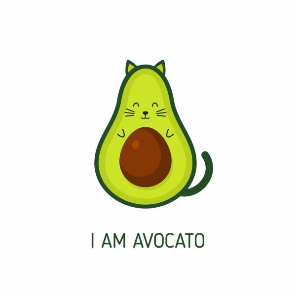 Рисунки авокадо котик (39 фото)