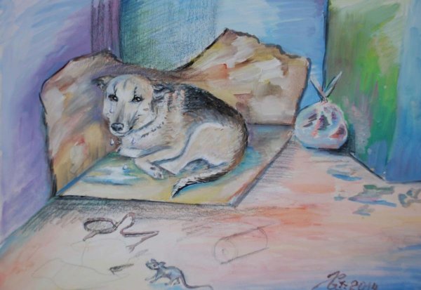 Рисунки бездомных кошки и собаки (42 фото)