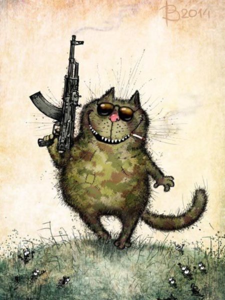 Рисунки боевого кота (36 фото)