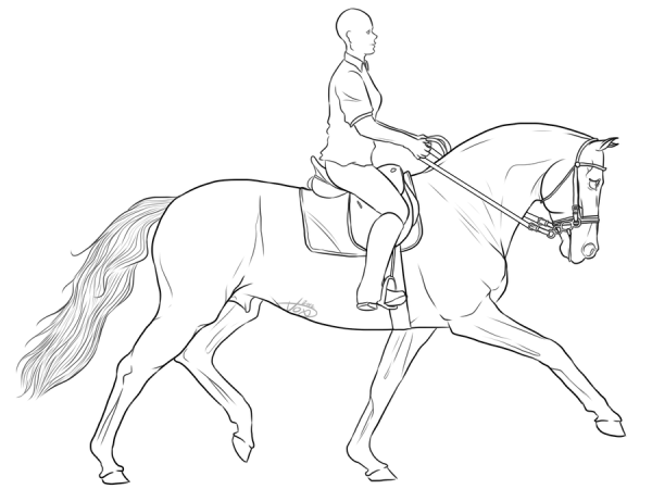 Рисунки человек верхом на лошади (31 фото)