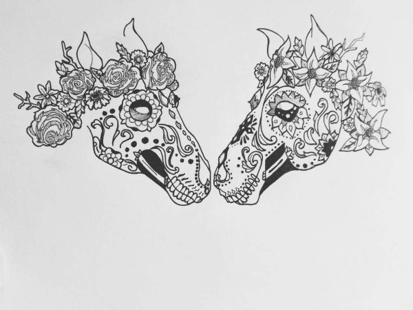Рисунки череп коня со змеей (35 фото)