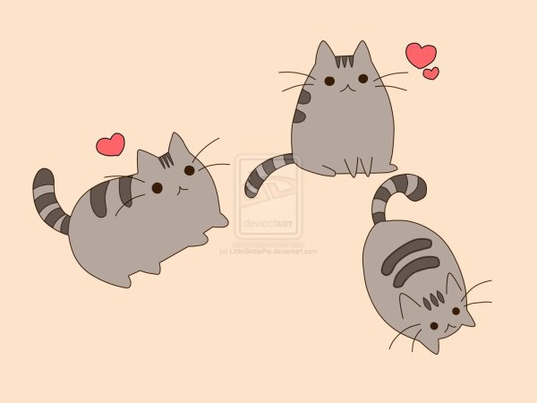 Рисунки два серых кота (42 фото)