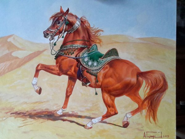 Рисунки конь араб (45 фото)