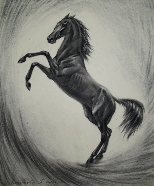 Рисунки коня вставшего на дыбы (34 фото)