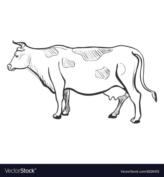 Рисунки корова боком (38 фото)