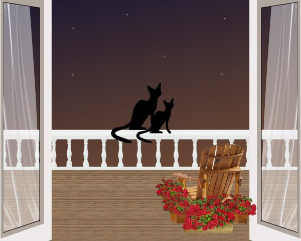 Рисунки кошек на балконе (42 фото)