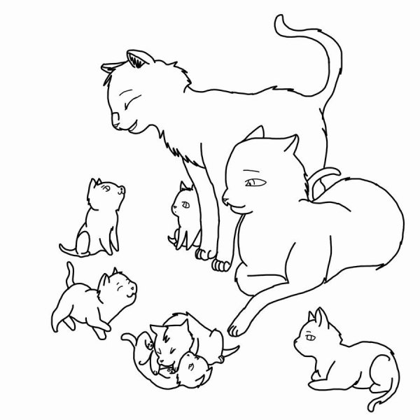 Рисунки кошка кормит котят (43 фото)