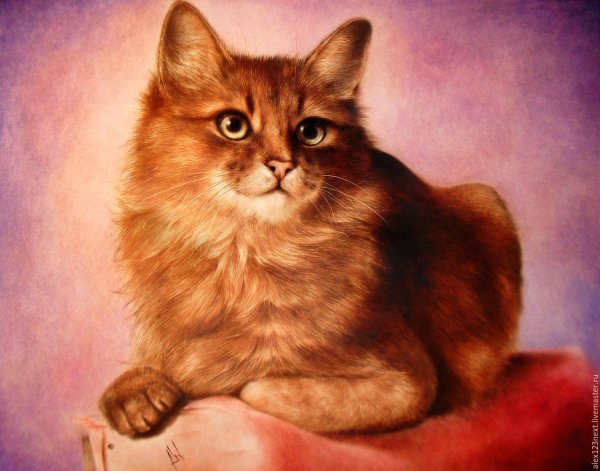 Рисунки кошка с кистью (45 фото)