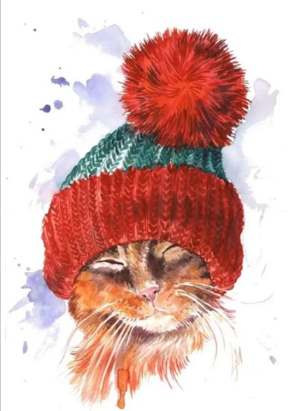 Рисунки кошка в свитере (44 фото)
