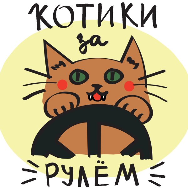 Рисунки кошка за рулем (43 фото)