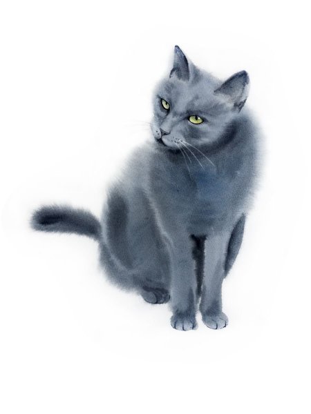 Рисунки кошки серого цвета (39 фото)